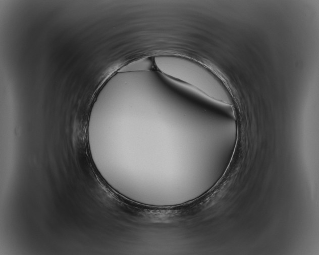 X0000086961193200705071330