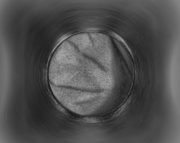 X0000086961194200705071329