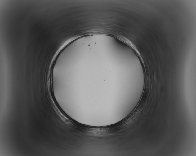 X0000086961195200705071329