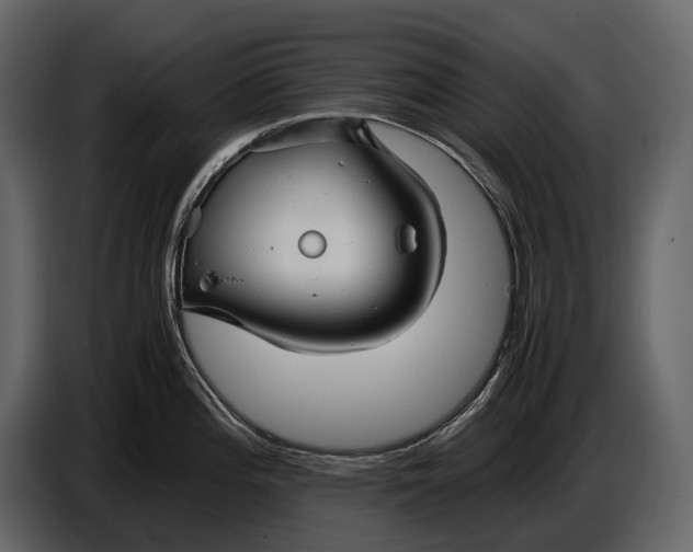 X0000086961196200705071329