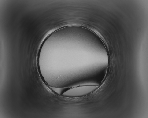 X0000086961197200705071329