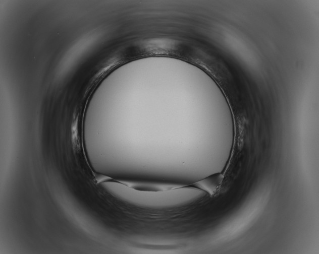 X0000086961198200705071329