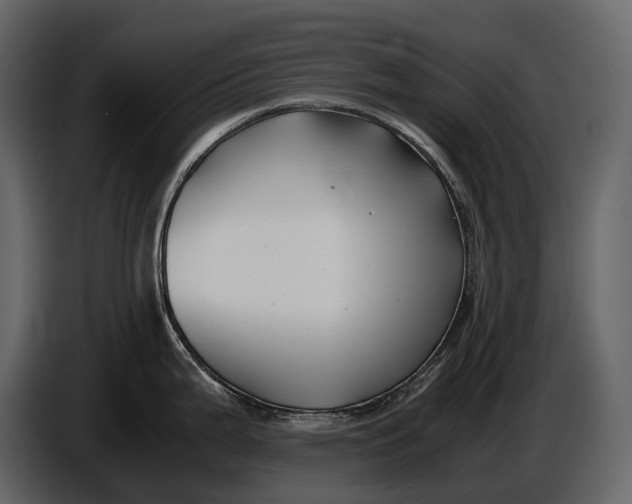 X0000086961199200705071329