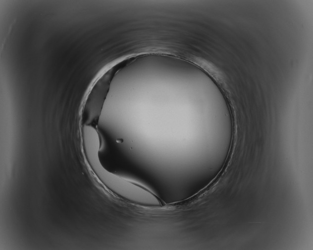 X0000086961200200705071329