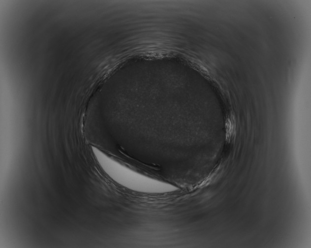 X0000086961202200705071329