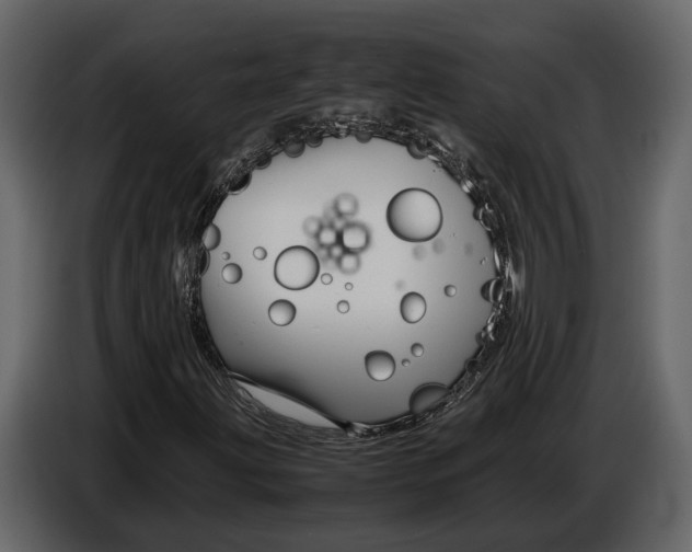 X0000086961203200705071329