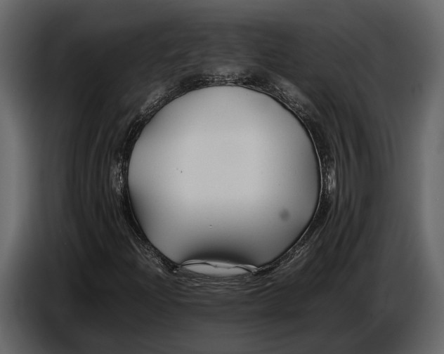 X0000086961204200705071329