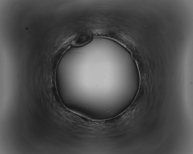 X0000086961205200705071329