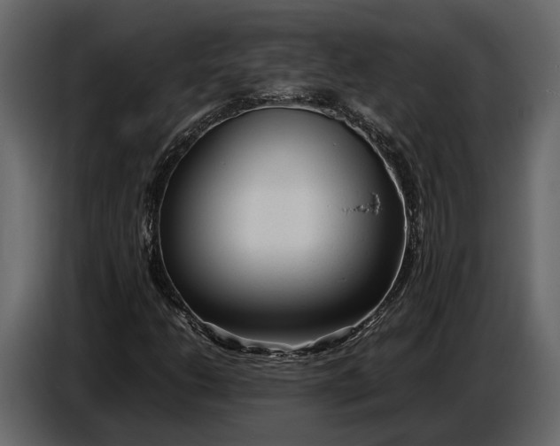 X0000086961206200705071329