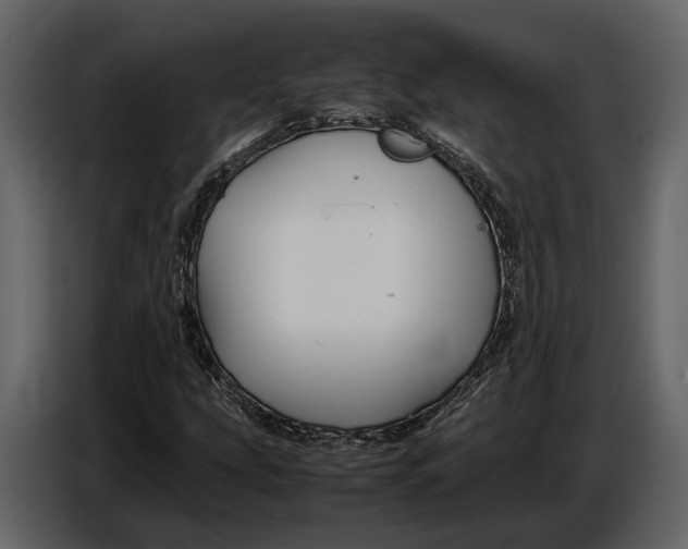 X0000086961207200705071329