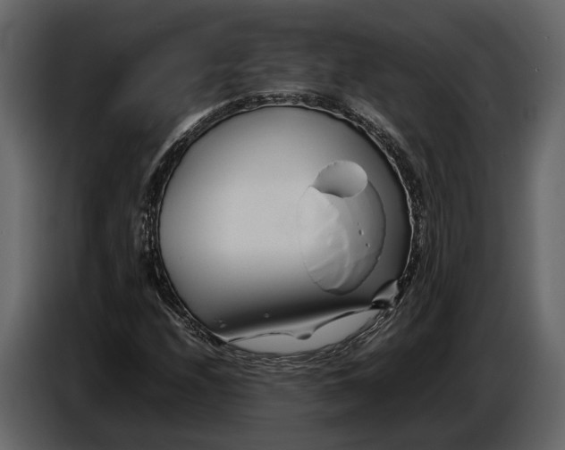 X0000086961208200705071329