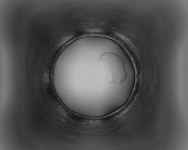 X0000086961209200705071329
