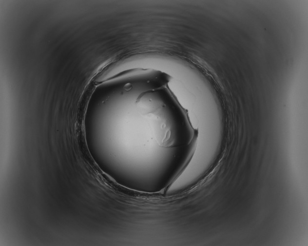 X0000086961210200705071329