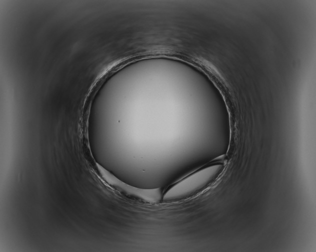 X0000086961212200705071329