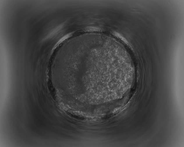 X0000086961213200705071329