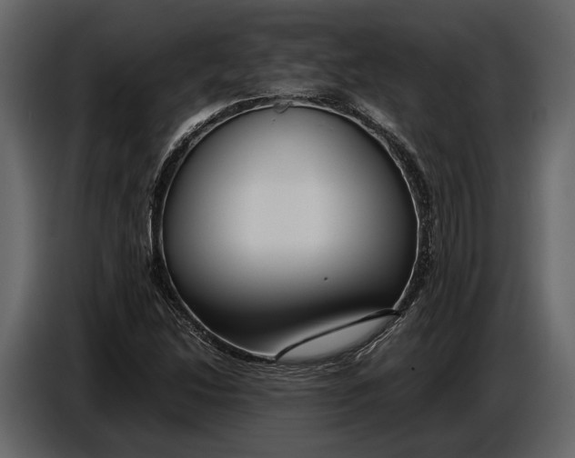 X0000086961214200705071329