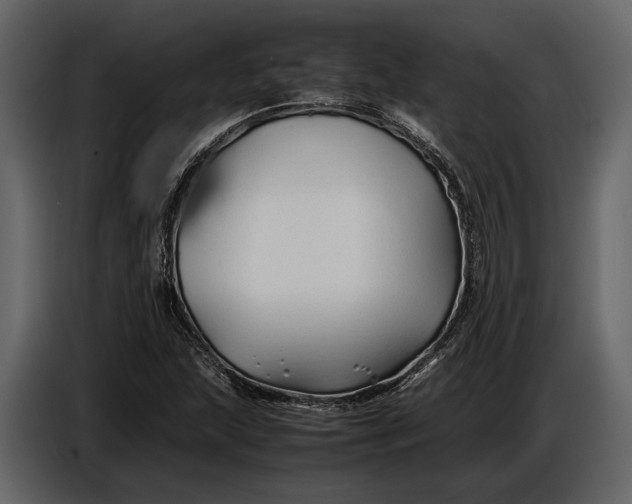 X0000086961215200705071329
