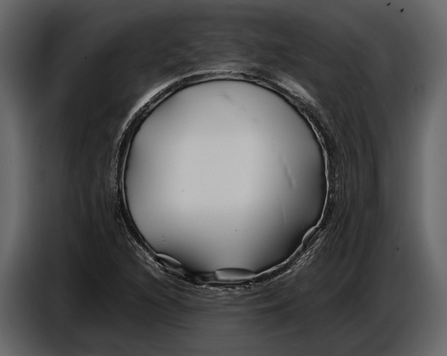 X0000086961216200705071329