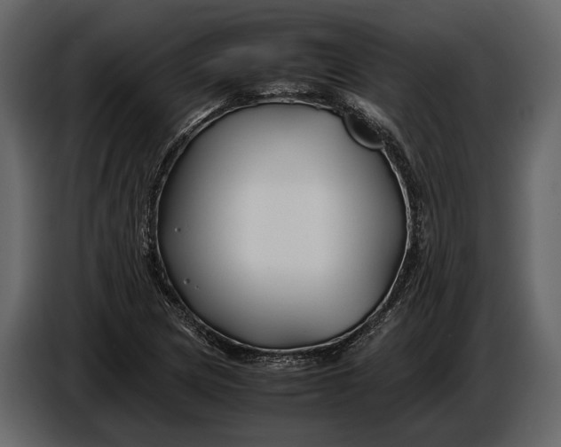 X0000086961217200705071329