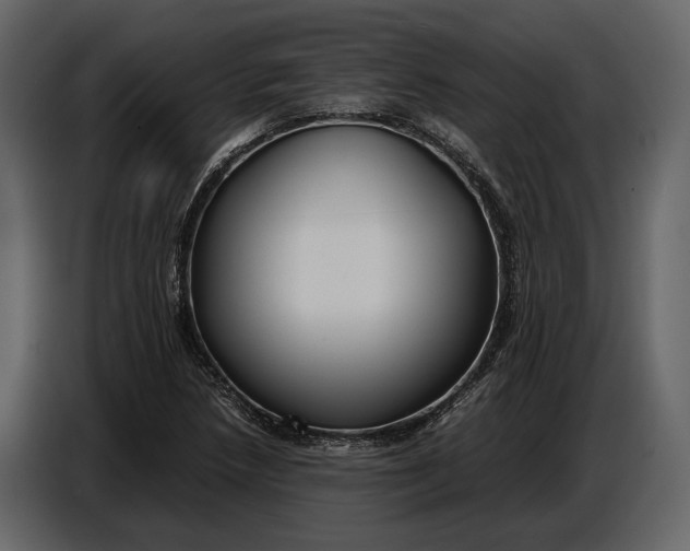 X0000086961218200705071329