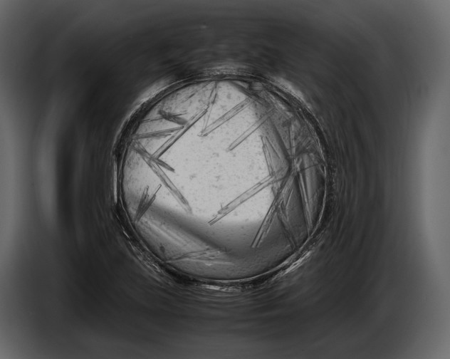 X0000086961219200705071329