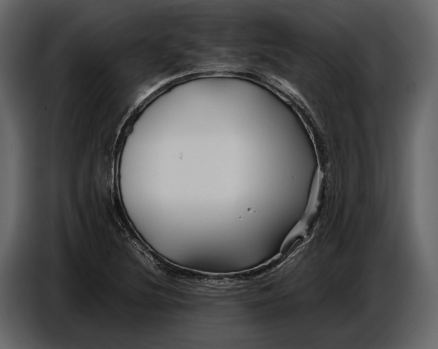 X0000086961220200705071329