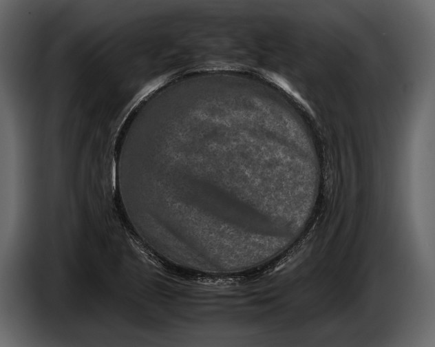 X0000086961221200705071329