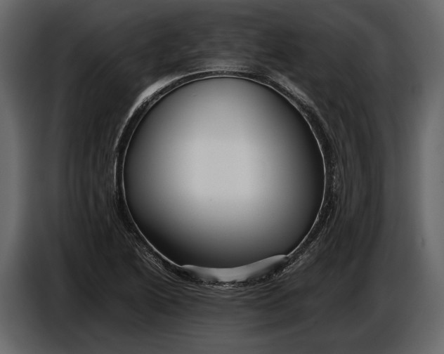 X0000086961222200705071329