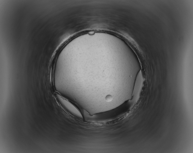 X0000086961224200705071329