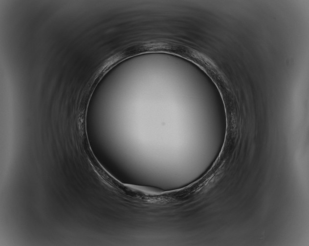 X0000086961225200705071329