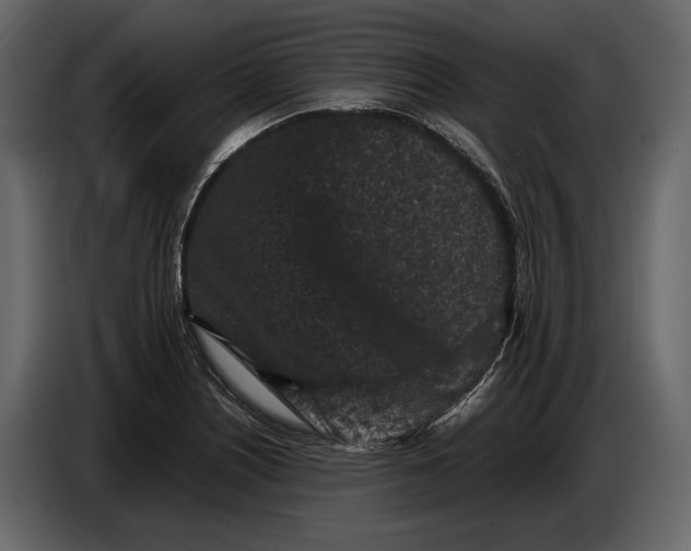 X0000086961226200705071329