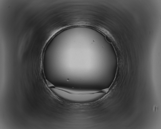 X0000086961228200705071329