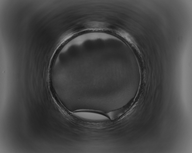 X0000086961229200705071329