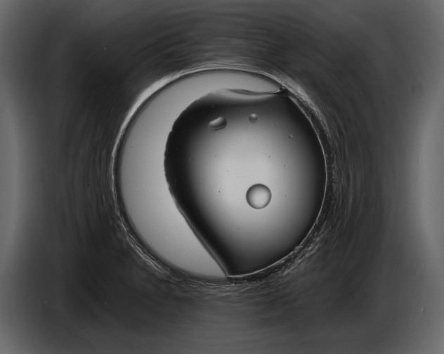 X0000086961230200705071329