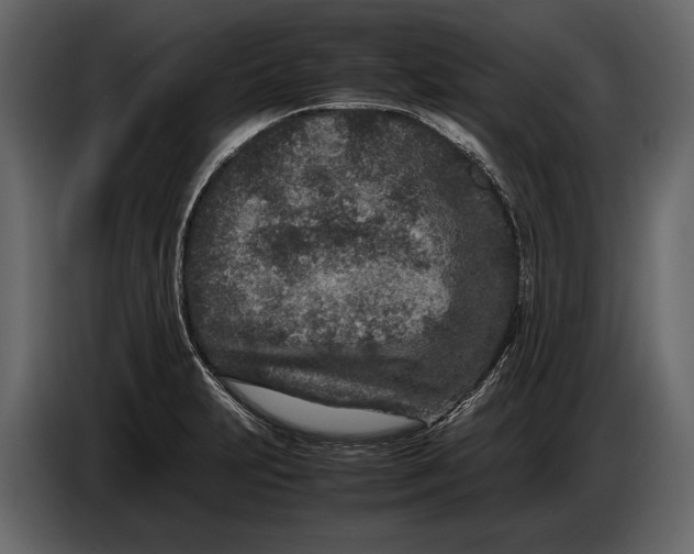 X0000086961231200705071329