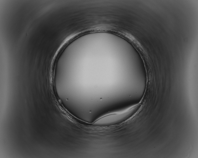 X0000086961232200705071329