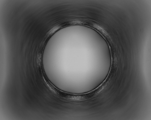 X0000086961233200705071329