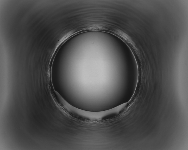 X0000086961234200705071329