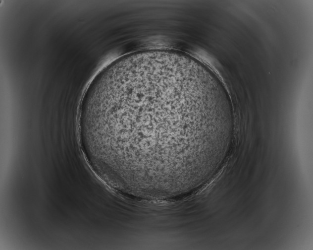 X0000086961235200705071329