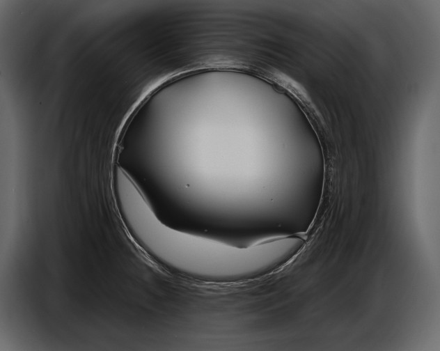 X0000086961236200705071329