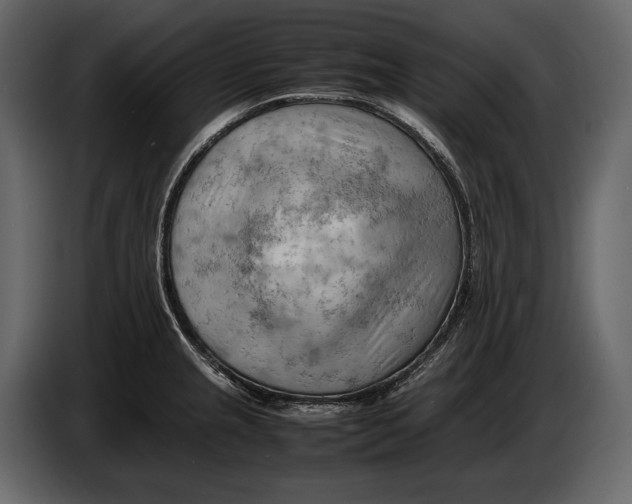 X0000086961237200705071329