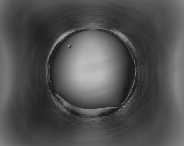 X0000086961238200705071329