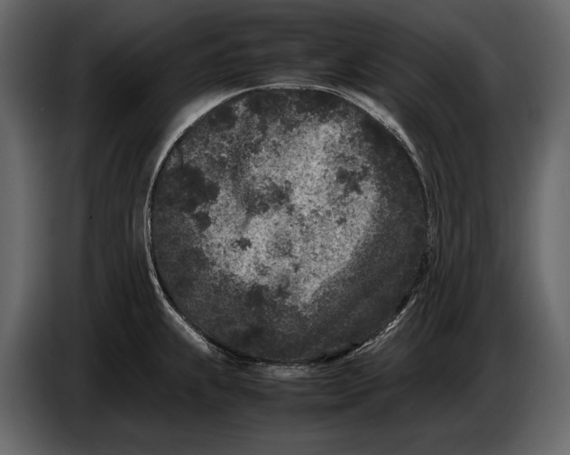 X0000086961239200705071329