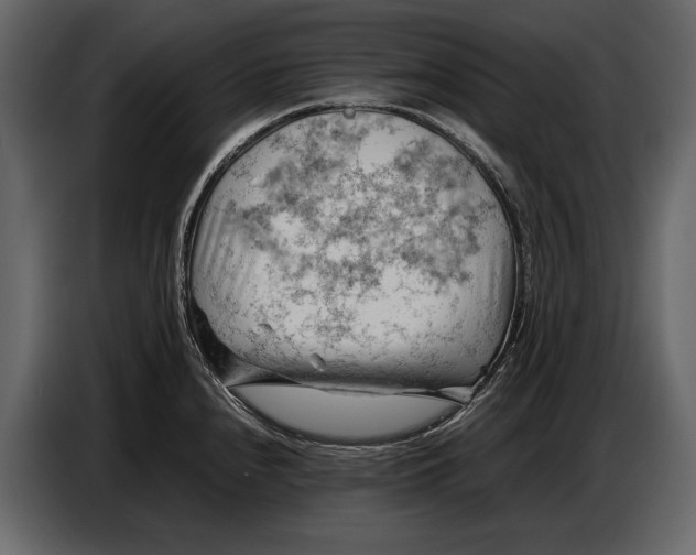 X0000086961240200705071329