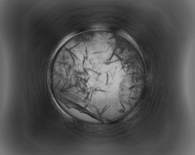 X0000086961243200705071329