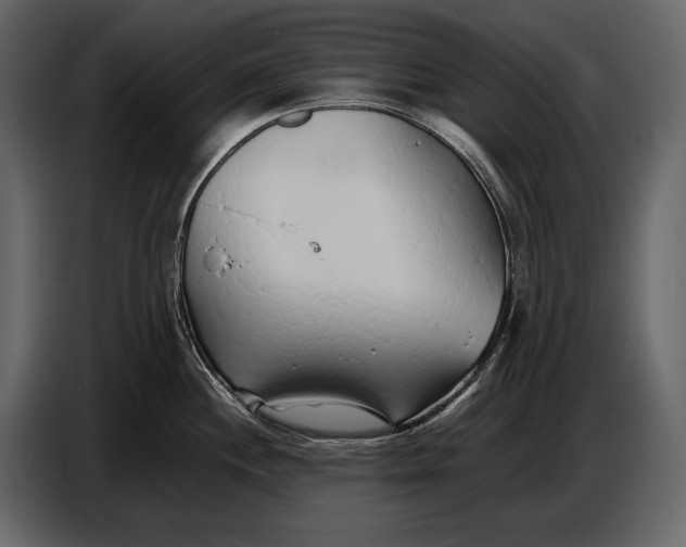 X0000086961244200705071329