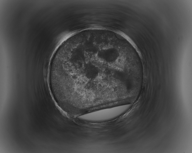 X0000086961245200705071329