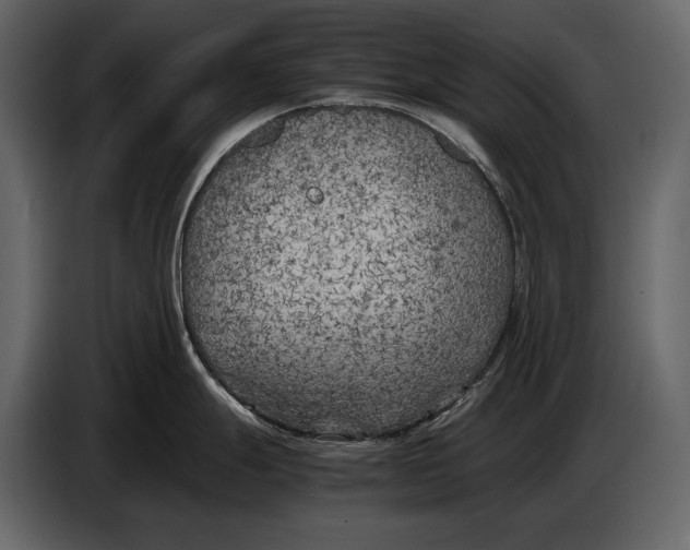X0000086961247200705071329