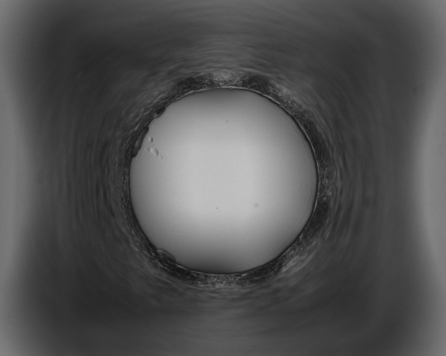 X0000086961249200705071329