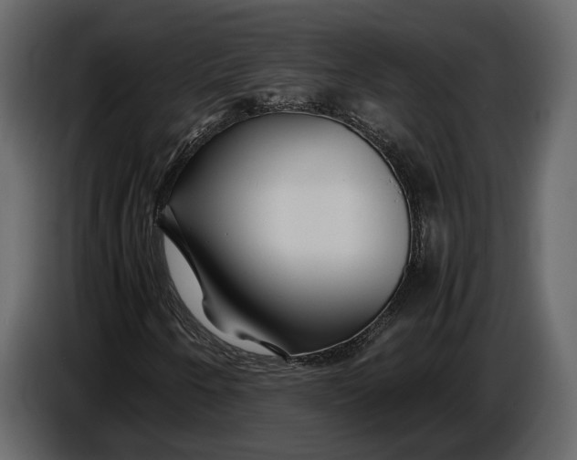 X0000086961250200705071329